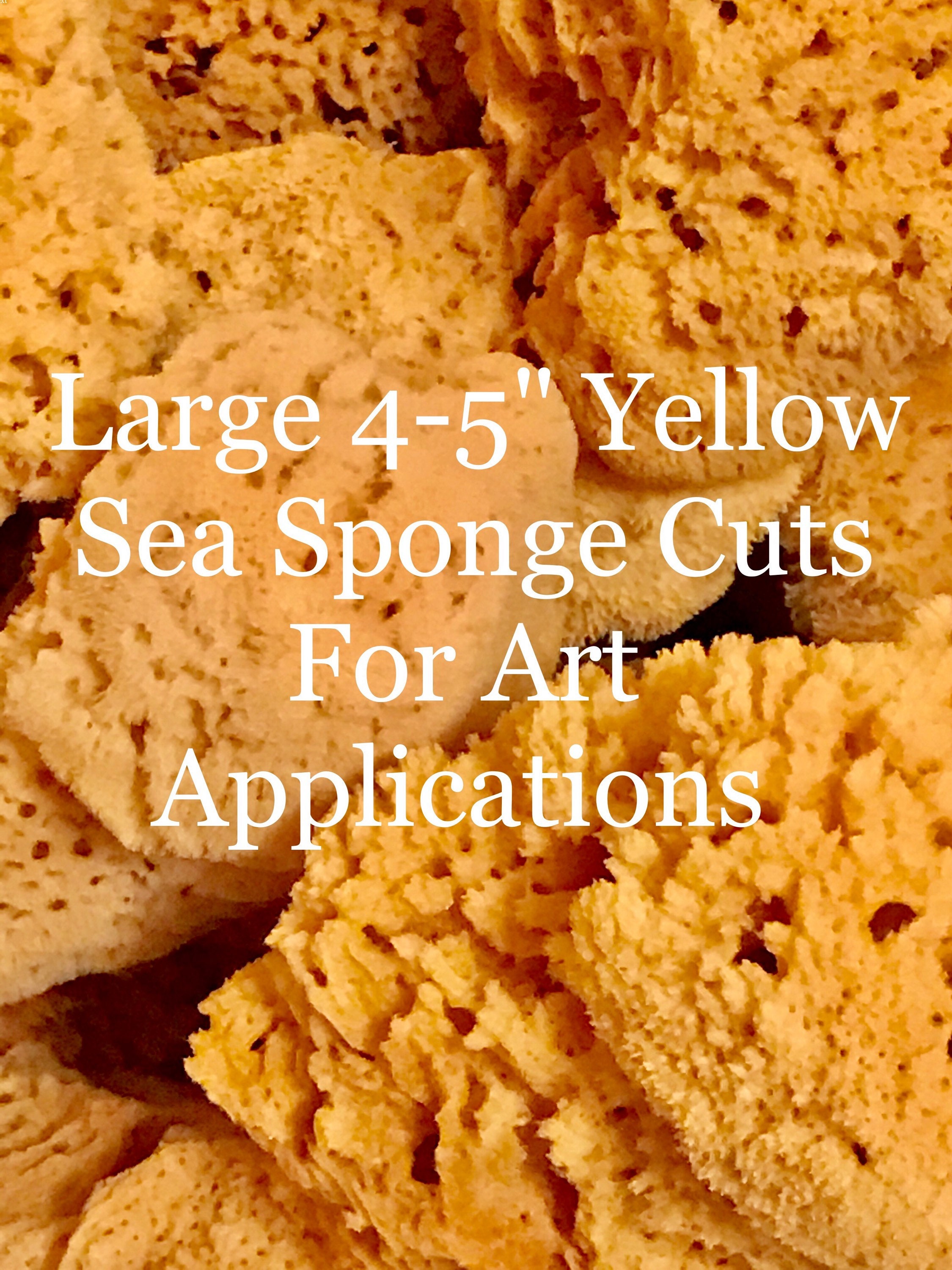 Faux Painting Artist Supplies 3 Lg Yellow Sea Sponges Pottery Etsy