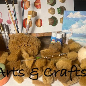 May include: An assortment of art supplies including paintbrushes, paint bottles, sponges, and a small canvas painting of a bird and clouds. The words "Arts & Crafts" are written across the bottom.