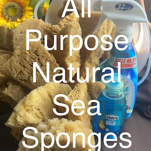 May include: A collection of natural sea sponges, with the text "All Purpose Natural Sea Sponges" in white. A spray bottle and a bottle of dish soap are also visible. A yellow sunflower is in the background.