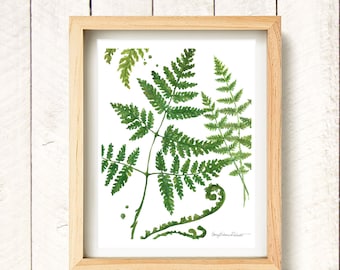 Fern 1: watercolor art print