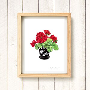 May include: A watercolor painting of a potted red geranium plant with green leaves. The pot is black and white with a floral design.