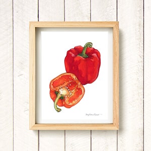 Pepper - watercolor vegetable kitchen art print 8.5x11&quot;