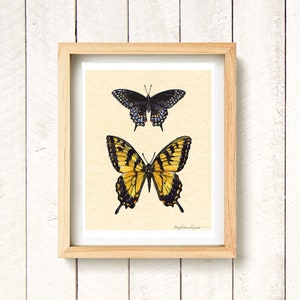 Butterfly Field Guide - Tiger Swallowtail, Black Swallowtail - watercolor art print