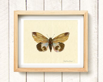 Moth II - watercolor art print 8.5x11"