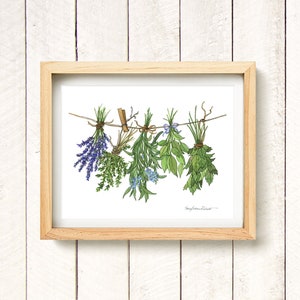 Hanging Herbs : Print