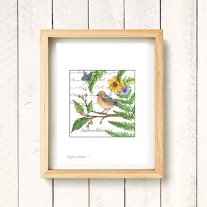 Eastern Bluebird - Flora & Fauna - watercolor art print