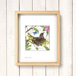 Robin - Flora & Fauna - watercolor art print
