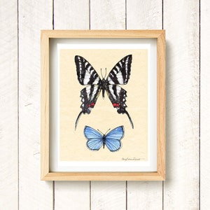 Butterfly Field Guide - Zebra Swallowtail, Spring Azure - watercolor art print