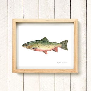 Brook Trout - watercolor art print 8.5x11&quot;