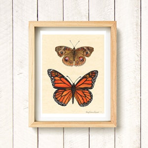 Butterfly Field Guide - Monarch, Common Buckeye - watercolor art print