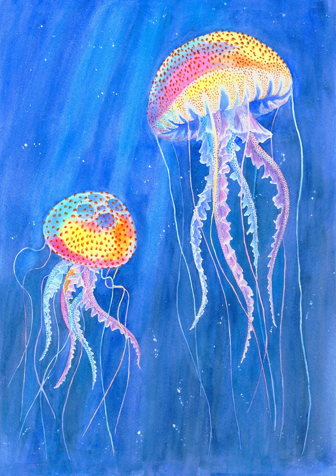 Jellyfish Art Print A2 Marine Wall Art Fish Painting Blue Etsy