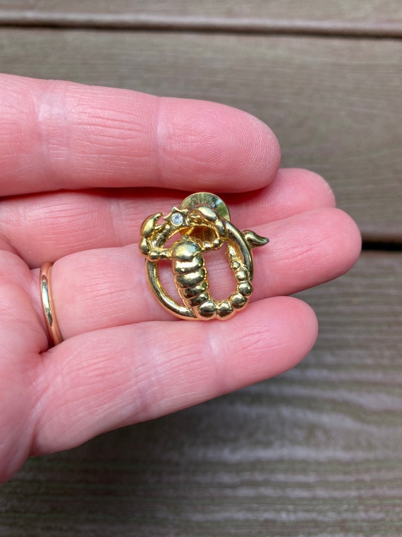 Vintage Jewelry Lovely Avon Lovely Zodiac Scorpio Scorpion Pin