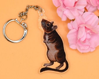 Degu Keyring, Pet Degus Keychain, Degu Owner Gift