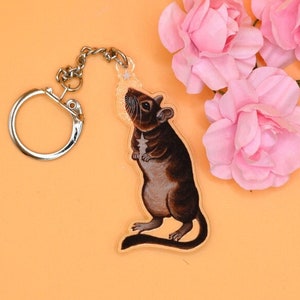 May include: A brown and black rat keyring with a silver key ring. The rat is standing on its hind legs and has a long tail. The keyring is surrounded by pink flowers.
