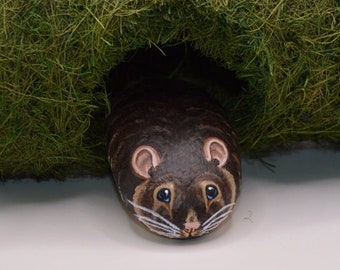 May include: A hand-painted stone resembling a mouse peeking out of a green moss-covered tunnel.
