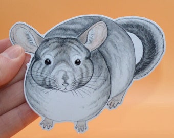 Sticker vinyle chinchilla, grand sticker chinchilla gris