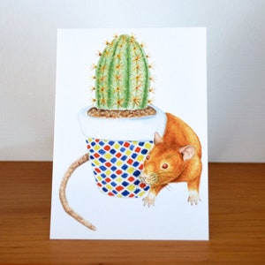 Tarjeta de felicitación de cactus de rata, rata de jengibre, ratas de cervatillo plateado