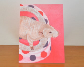 White Rat Greetings Card, Blank for your own message, Rex Coated Rat, Great for Rat Lovers, Gift, Cards