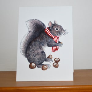 Biglietto d'auguri scoiattolo grigio, scoiattolo grigio, biglietto d'auguri per la fauna selvatica