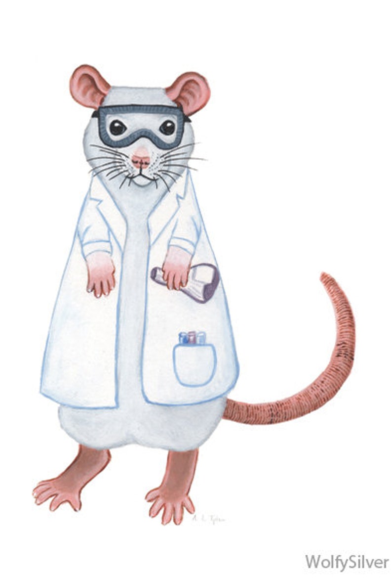 Lab Rat Greetings Card, Science Student, Lab Tech, Researcher, Card for a Professor or Veterinarian Student image 3