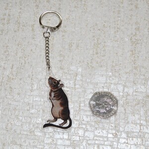 Degu Keyring, Pet Degus Keychain, Degu Owner Gift image 5