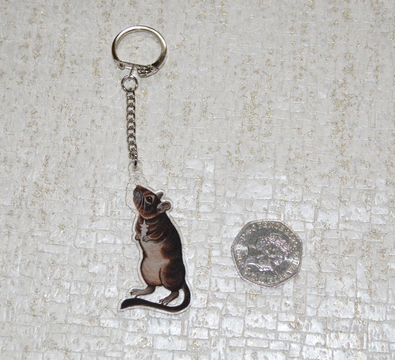 Degu Keyring, Pet Degus Keychain, Degu Owner Gift image 5