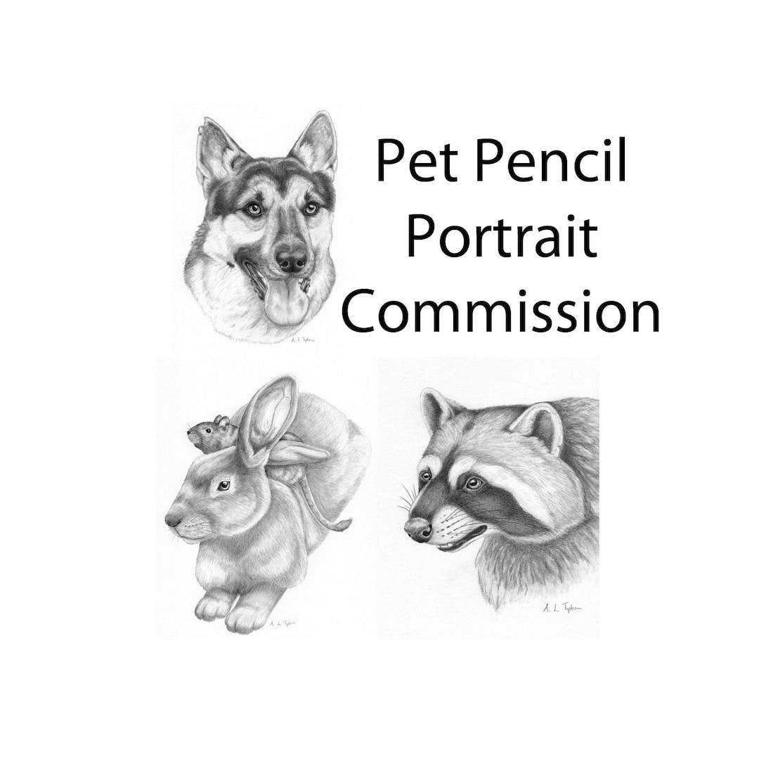 Custom Pencil Pet Portrait Commission Any Pet Drawn Pencil Etsy