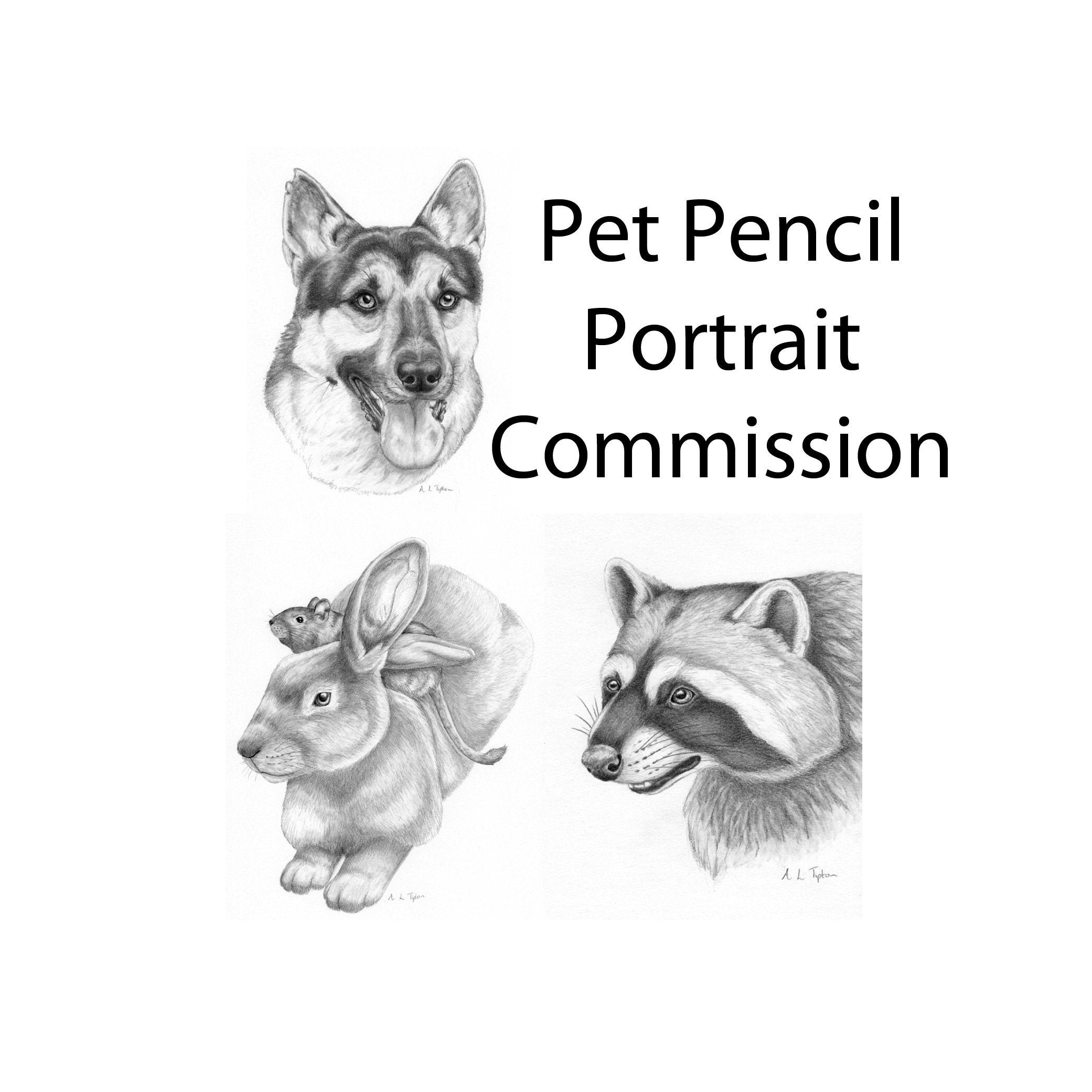 Custom Pencil Pet Portrait Commission, Any Pet Drawn, Pencil, Graphite Art, Cats, Dogs, Rats, Rabbits, Degus, Guinea Pigs, Rodents, Horses