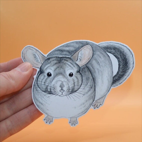Chinchilla and Flowers | Vinyl Sticker Chinchilla and Flowers | Vinyl Sticker