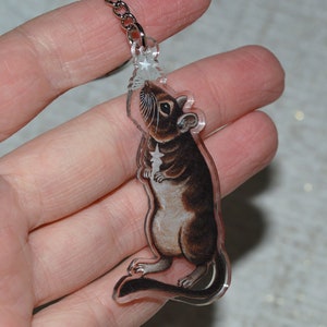 Degu Keyring, Pet Degus Keychain, Degu Owner Gift image 6