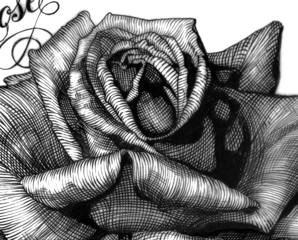 Thin Lizzy Black Rose Album Cover Original Artwork Pencil 1976 | Etsy