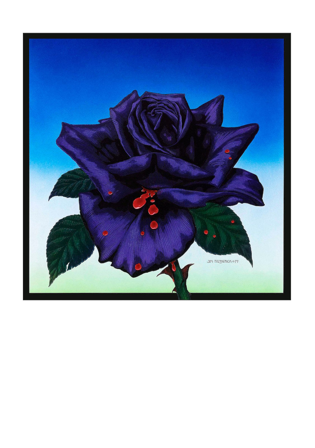 Thin Lizzy Black Rose Album Cover Original Artwork 1979 Print Thin Lizzy Black Rose Album Cover Original Artwork 1979 Print