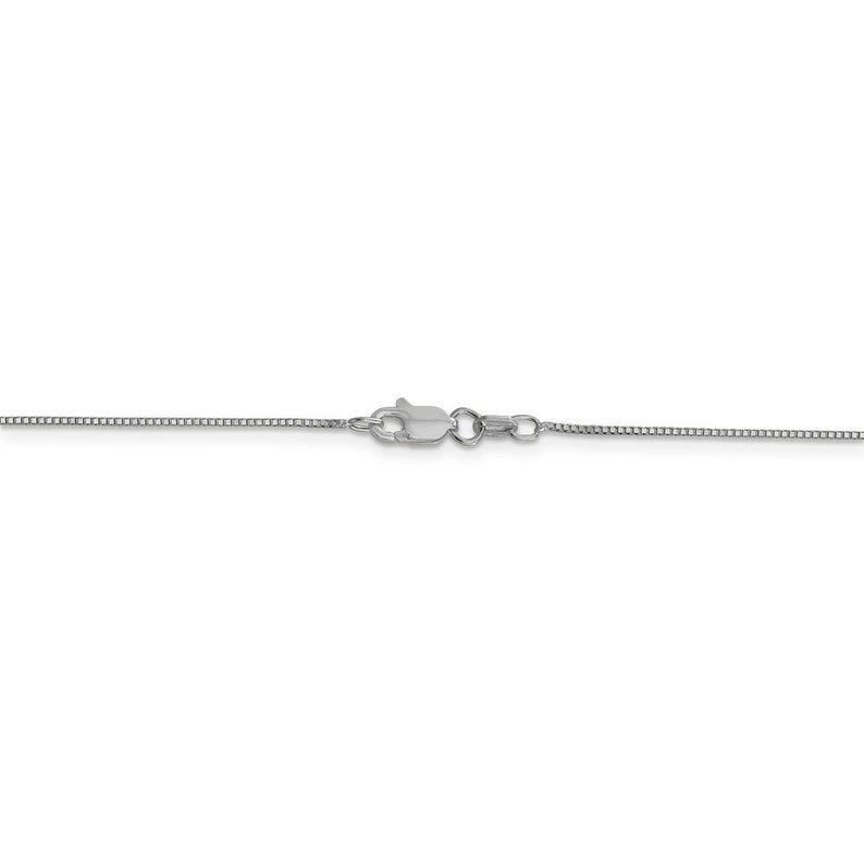Leslie/'s 14K White Gold .7 mm Box wLobster Chain