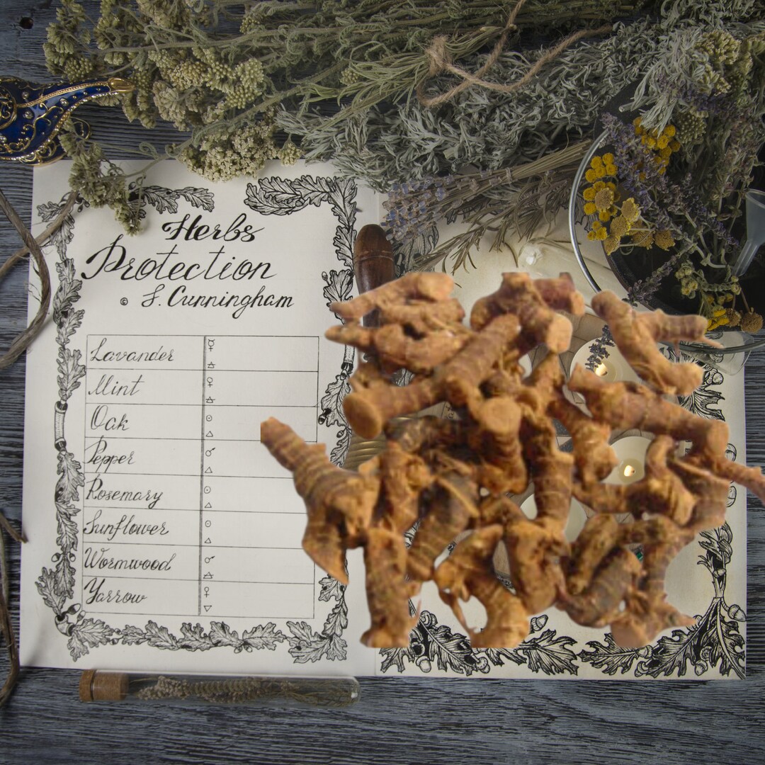 Galangal Root Voodoo Hoodoo Mojo Ritual Nation Sack - Etsy.de