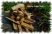 Palo Santo, Incense, Holy Wood, Conjure, spiritual, sacred,,Wiccan, Pagan, Hoodoo 