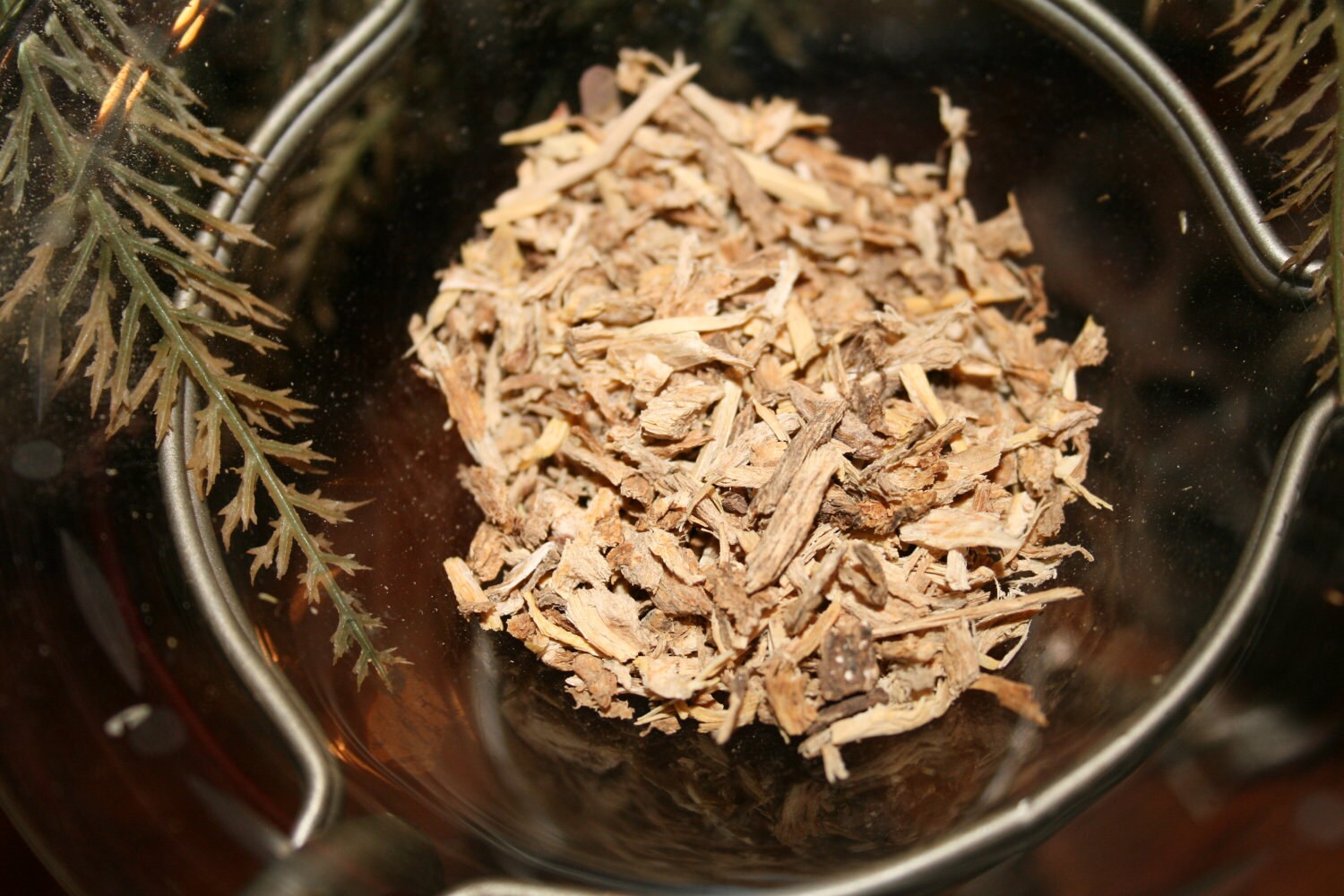 Angelica, Protection, Uncrossing, Blessings, Warding Off Evil, Hexes,