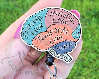 Anatomical Brain Badge Reel, Acrylic Brain With Labels Badge Reel - Neurology, Neurologist, EEG Tech Badge Reel, Brain Diagram Badge Reel