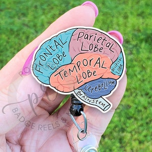 Anatomical Brain Badge Reel, Acrylic Brain With Labels Badge Reel - Neurology, Neurologist, EEG Tech Badge Reel, Brain Diagram Badge Reel