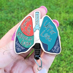 Anatomical Lungs Badge Reel, Acrylic Lungs With Labels Badge Reel - RRT Badge Reel, Respiratory Therapist Badge Pull, Lung Diagram Badge