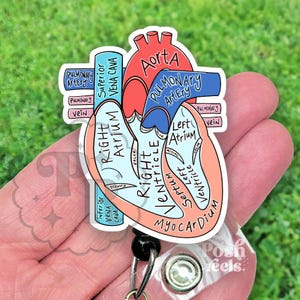Porta credencial de corazón anatómico, corazón acrílico con etiquetas - Cardiología, porta credencial de cardiólogo, insignia con diagrama anatómico del corazón imagen 1