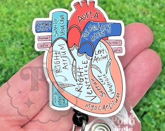 Bobine de badge anatomique coeur, coeur en acrylique avec étiquettes - Cardiology, Cardiologist Badge Id Reel, Anatomical Heart Diagram Badge