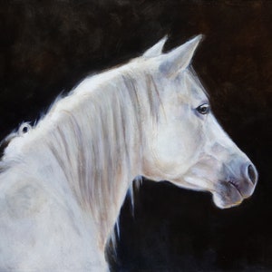 White Knight, 12 x 16&quot; original oil of white horse on dark background rendered in realistic detail