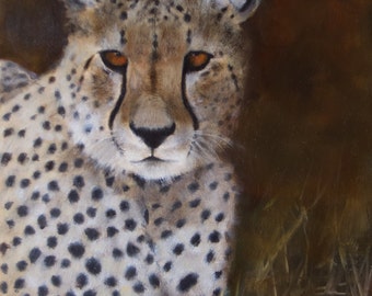 Asessment, 9 x 12" unframed or framed cheetah oil painting in fine detail