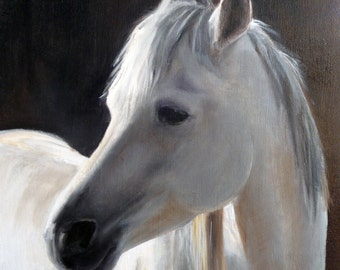 Horse portraits rendered in beautiful, careful detail on high quality linen and oil.