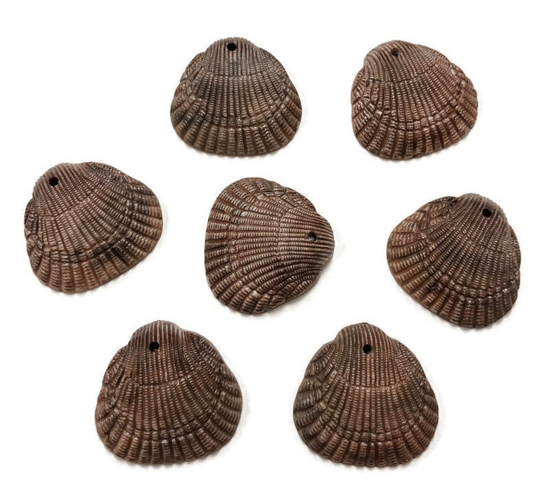 6 Vintage Brown Matte Large Clam Shell Acrylic 36x34mm. Bead Pendants ...