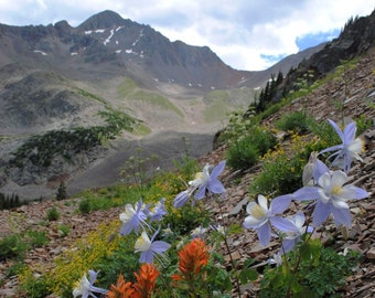 Wilson Peak, Lizard Head Wilderness, Colorado  | Photo Print Wall Art