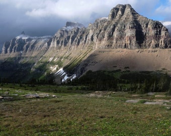 Glacier Lilies and Pollock Mountain, Glacier National Park, Montana | Photo Print Wall Art