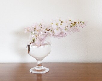Spring Plum Blossom in Vase Styled Stock Photo Compatible with Canva and Photoshop for Social Media Use