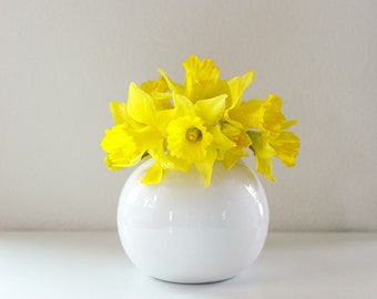 Daffodils in Vase Styled Stock Photo Compatible with Canva and Photoshop for Social Media Use