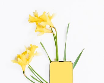Daffodils in Vase Styled Stock Photo Compatible with Canva and Photoshop for Social Media Use
